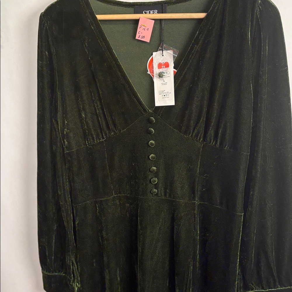 Cider Elegant Long Sleeve Velvet Dress in Dark Green